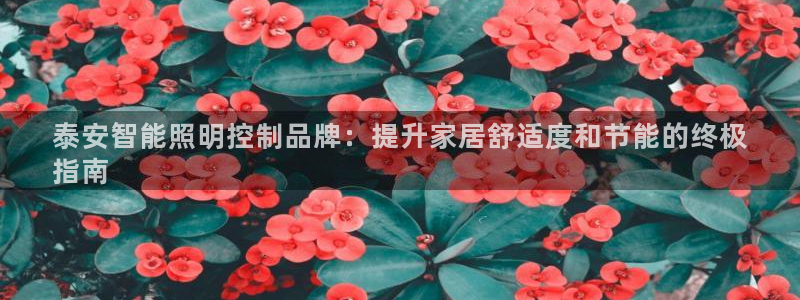 云顶国际酒店位置在哪
