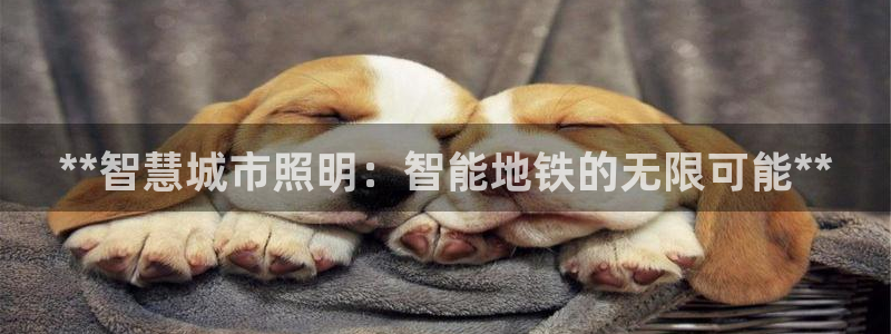 云顶集团游戏入口