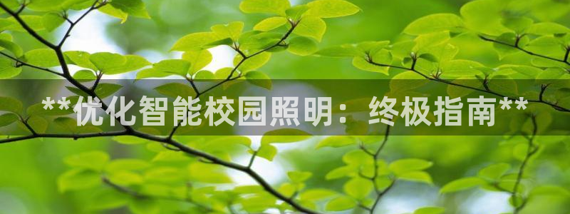 云顶集团app安卓版下载安装