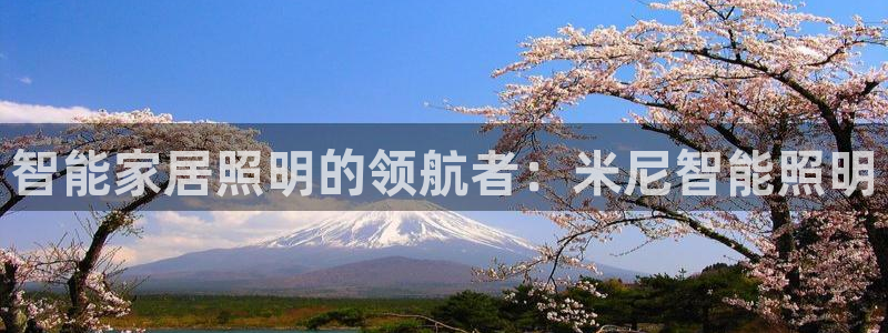 云顶最新套路2021