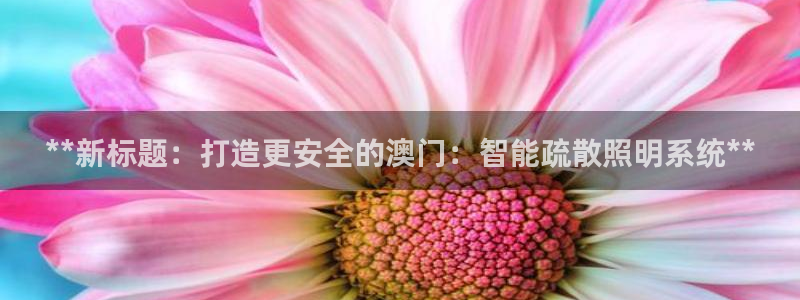云顶集团游戏入口