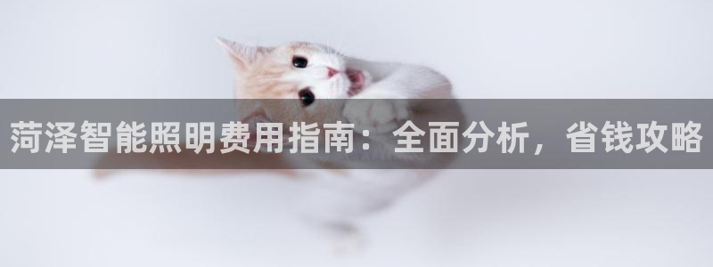 云顶集团简介概况