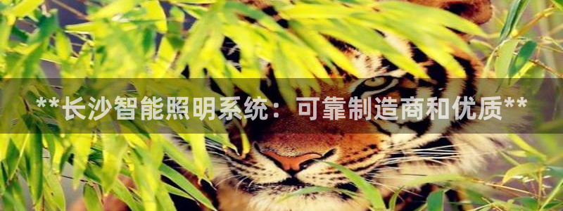 云顶国际商业广场怎么样
