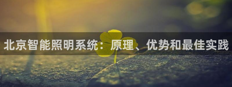 云顶集团公司 英文