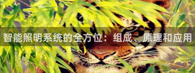 云顶国际公馆在哪个街道