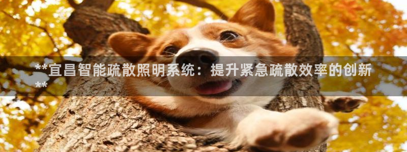云顶国际集团 深圳