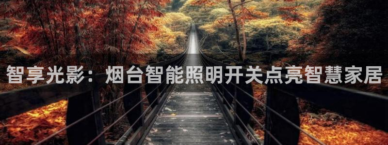 云顶国际黄钊华