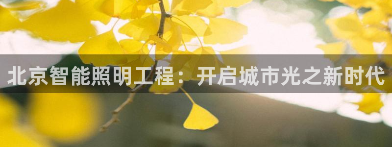 云顶国际北大街