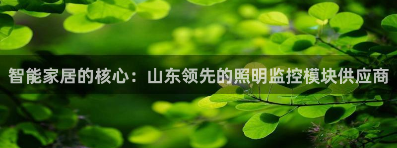 云顶国际官网app下载安卓