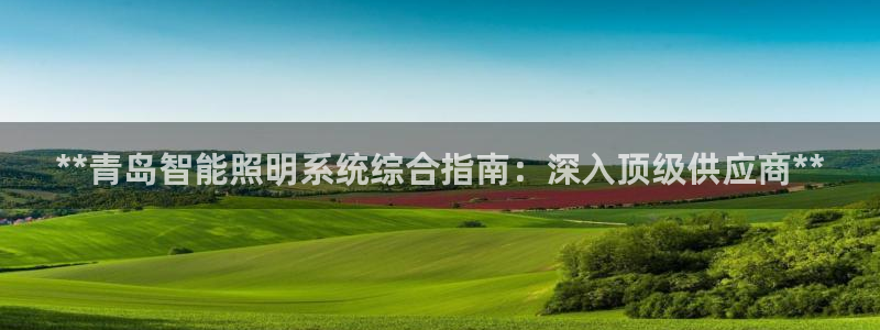 云顶国际服s6