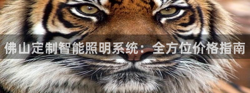 云顶国际二手房价格走势