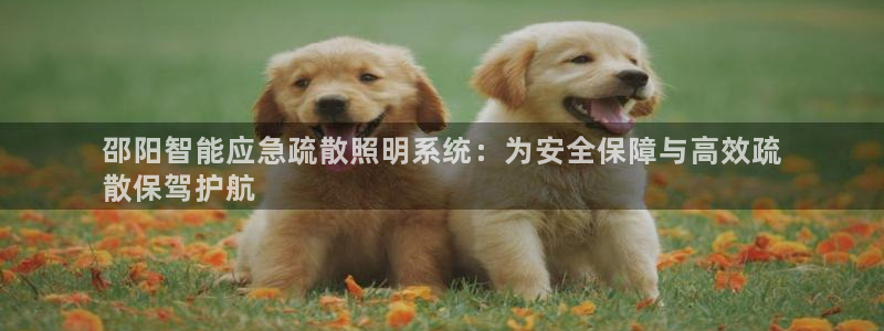 云顶集团genting