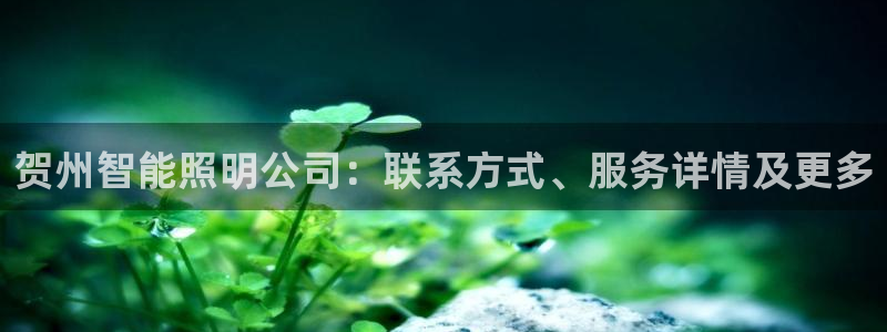 云顶国际手机app下载