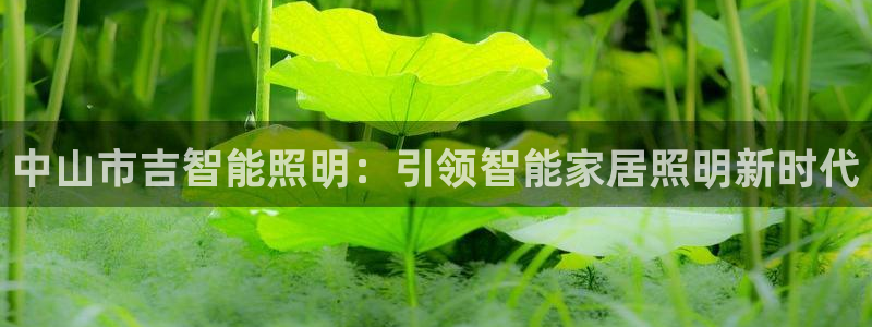 云顶国际在线