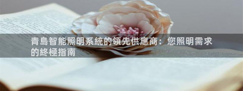 云顶国际二手房