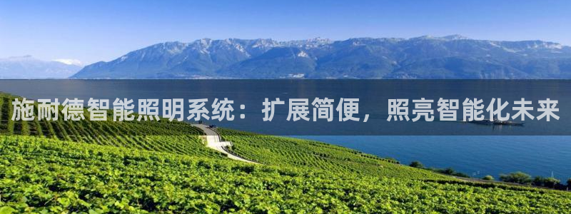 云顶集团有限公司简介地址