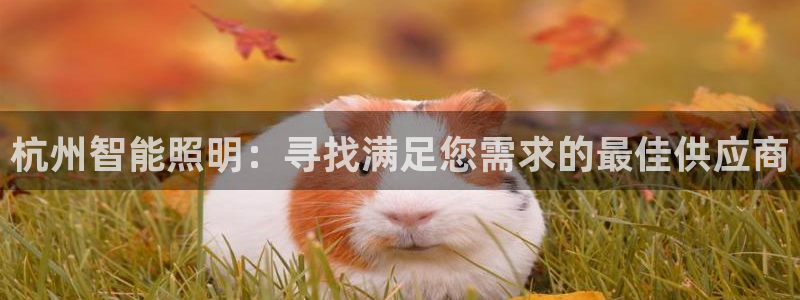 云顶国际服什么时候更新s8