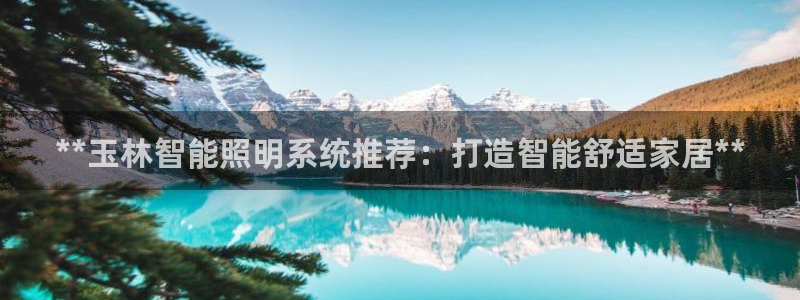 云顶国际是做什么的公司