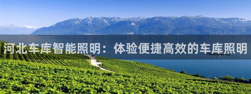 云顶国际旅行社怎么样