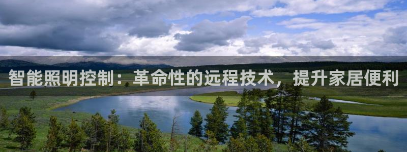 云顶国际物流有限公司