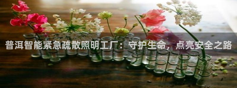 云顶集团林致华