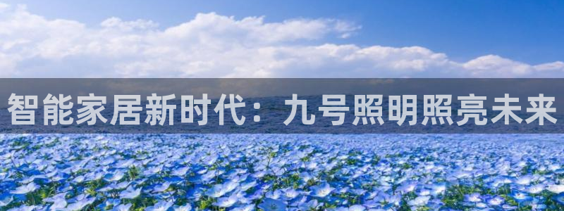 云顶国际提现多久到账户