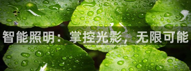 云顶集团 林