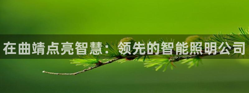 云顶国际公馆户型图