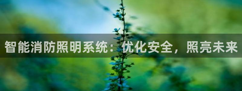 太原云顶国际酒店老板