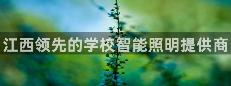 云顶集团3118app功能
