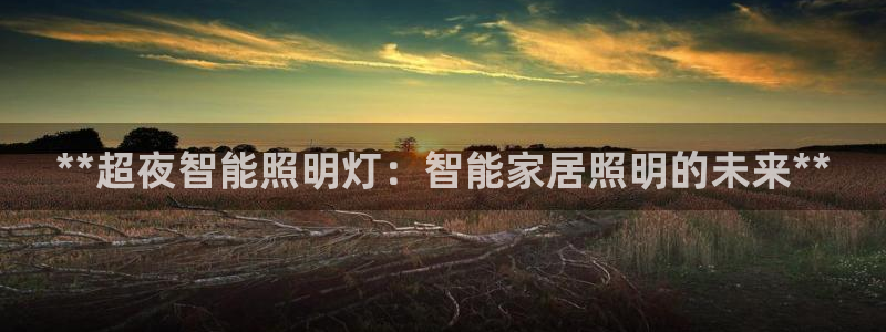 云顶国际酒店老板是谁