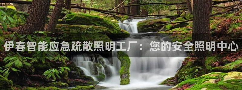 云顶国际是不是真的吗