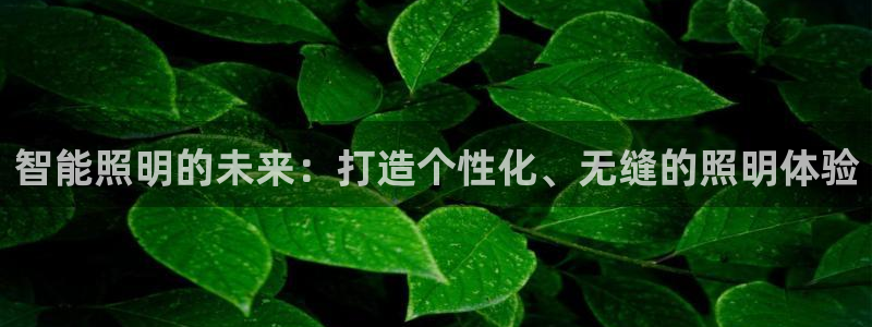 云顶国际软件
