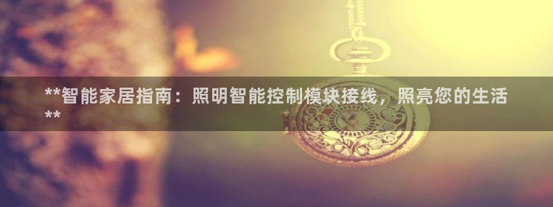 云顶网站网址