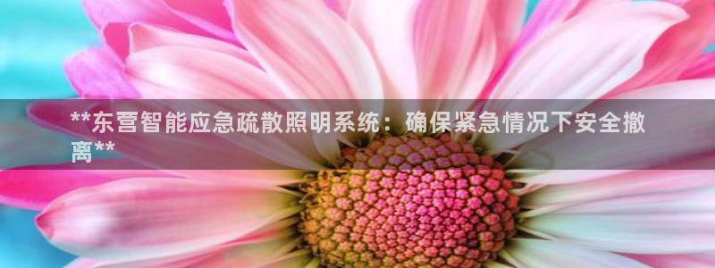 云顶国际部一年学费