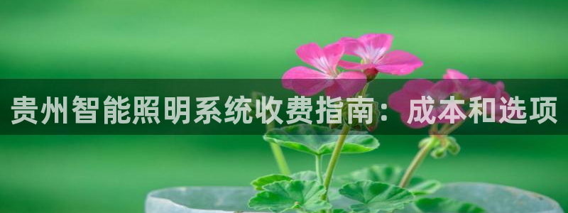 云顶集团APP下载