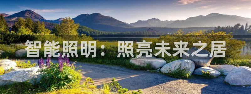 云顶集团中国区总裁