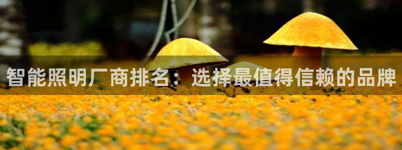 云顶国际装饰设计 宁波