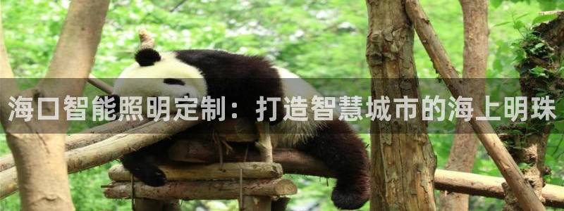 云顶国际商业广场 可以停车吗