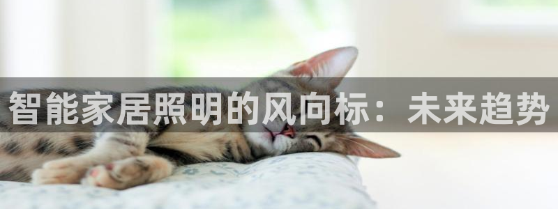 云顶国际提现不到账怎么办