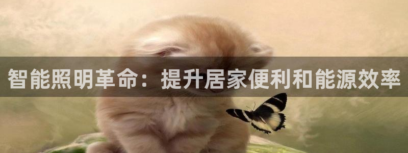 云顶国际太原店怎么样