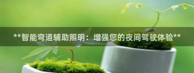 云顶国际和百姓渔村哪家好