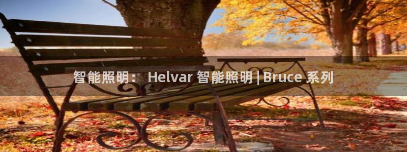 云顶国际游戏平台有哪些