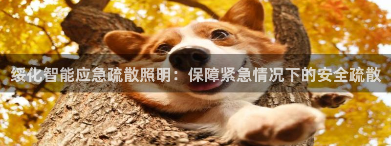 云顶国际培训机构