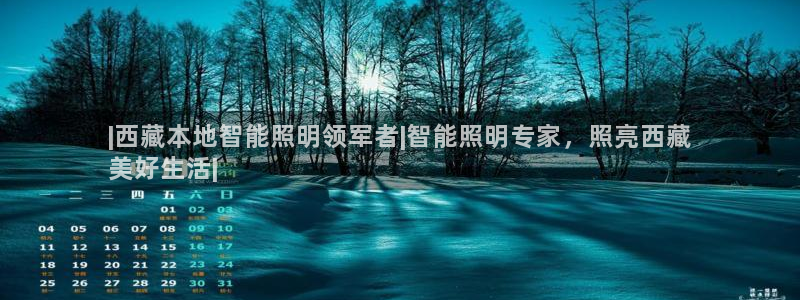 云顶国际物流