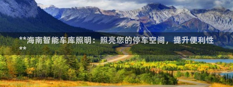 云顶网站网址：**海南智能车库照明：照亮